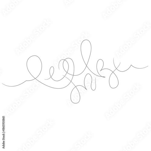 Elegant handwritten signature with artistic swirls and loops