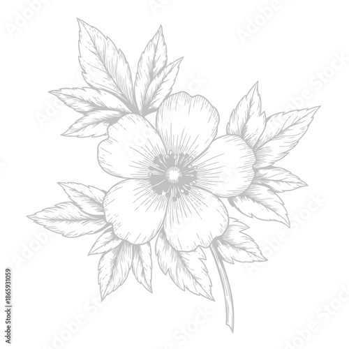 A delicate sketch of two flowers with leaves