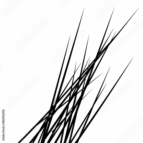 Closeup of black grass blades