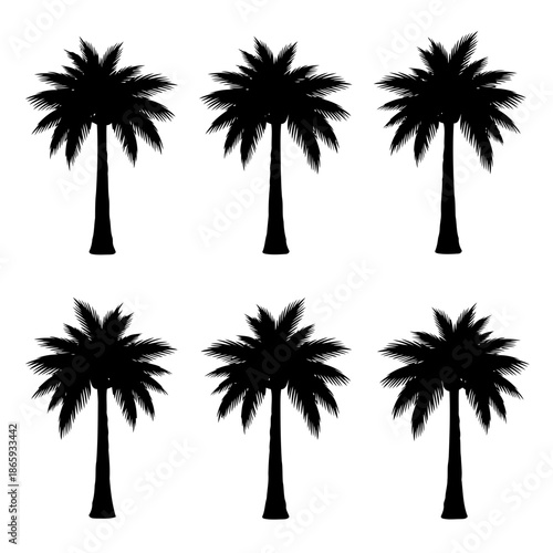 Six black palm trees