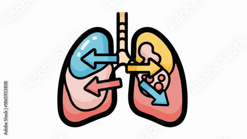 Stylized illustration of lungs showing air intake and gas exchange