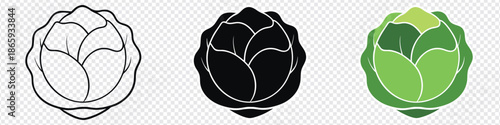 Cabbage icon vector design. Fresh green cabbage symbol. Silhouette of cabbage, vegetable. fresh food ingredient icon. cabbage glyph icon.