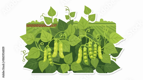Vibrant green pea pods burst with freshness amidst lush foliage and sun-kissed fields