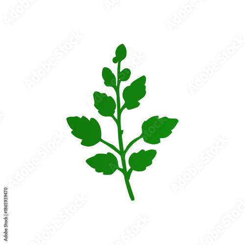 A simple green illustration of a plant stem with multiple leaves and buds at the top.
