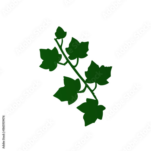 A dark green silhouette of a climbing ivy vine with several leaves on a white background.