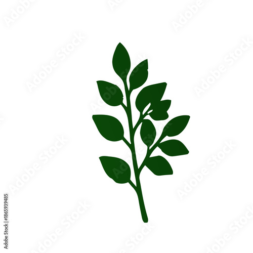 A simple, stylized illustration of a dark green leafy branch on a white background.