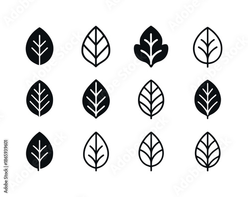 Leaf Logo Variations. Leaf. Icon set. Set Logo of Leaf: leaf vein pattern. harmonious logo variations of the same emblematic concept, each with different