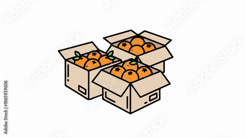 Three open cardboard boxes overflowing with ripe oranges and green leaves