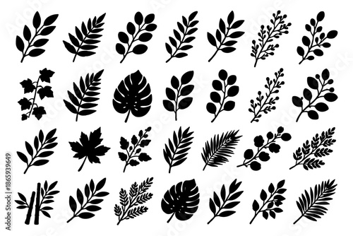 A collection of various black and white illustrations of different types of leaves and branches.