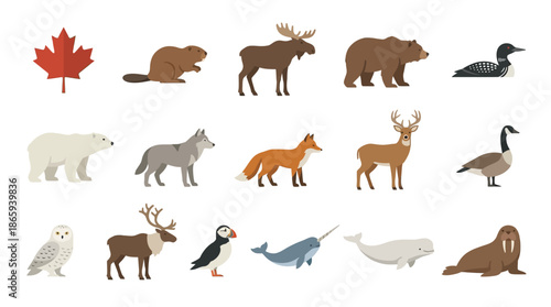 Collection of Various Canadian Animal Illustrations.