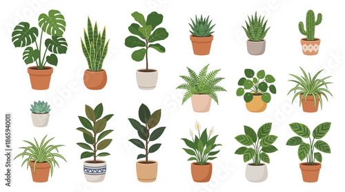 Collection of various potted plants and flowers in different pots.