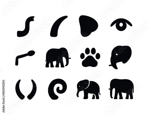 Elephant Icon Set. Elephant Features. Solid icon set of Elephant Features: trunk icon, tusk icon, ear icon, elephant eye, elephant tail, elephant silhouette,