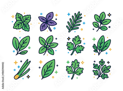 Herbal Leaf Icons. Herbal Leaves. Colorful isometric vector icons set of Herbal Leaves: mint leaf, basil leaf, rosemary sprig, thyme sprig, sage leaf, oregano