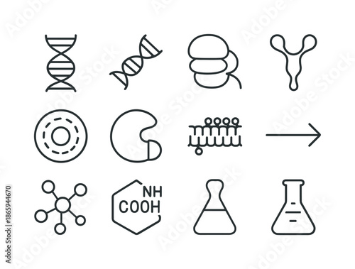 Molecular Biology Icons. Molecular biology. Line icon set of molecular biology: DNA helix, RNA strand, ribosome, protein structure, cell nucleus, enzyme icon,