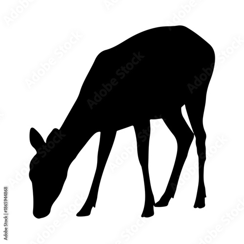Silhouette of a deer grazing in a meadow Vector