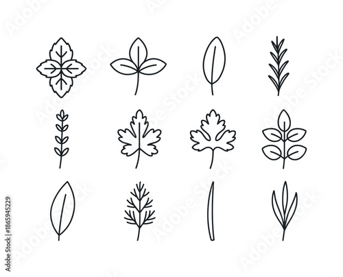 Herb Leaf Icons. Herbal leaves. Line icon set of Herbal leaves: mint leaf, basil leaf, sage leaf, rosemary sprig, thyme sprig, parsley leaf, cilantro leaf,