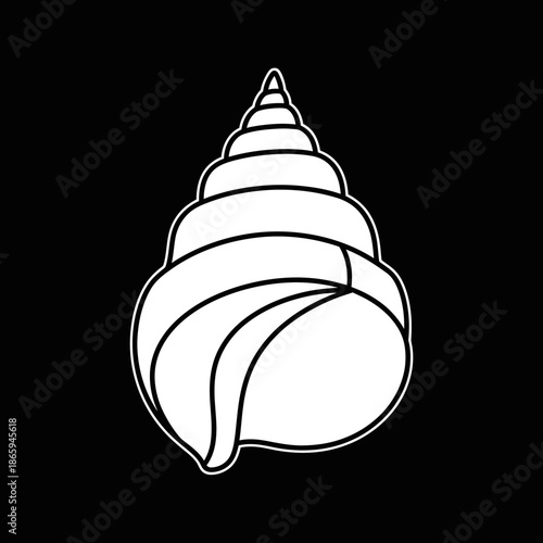 Detailed illustration of a seashell on black background