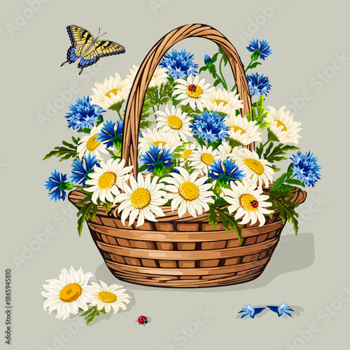 Wicker basket with daisies and cornflowers.Vector illustration with daisies and cornflowers in a wicker basket on a colored background.