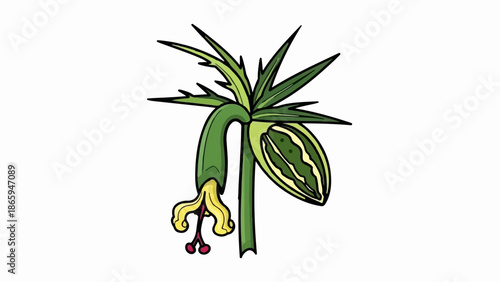 Stylized illustration of a plant with a drooping flower and a developing seed pod