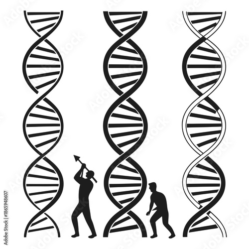 Scientists examining dna structures