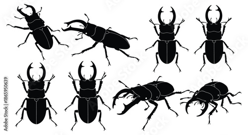 A collection of black beetle silhouettes on a white background