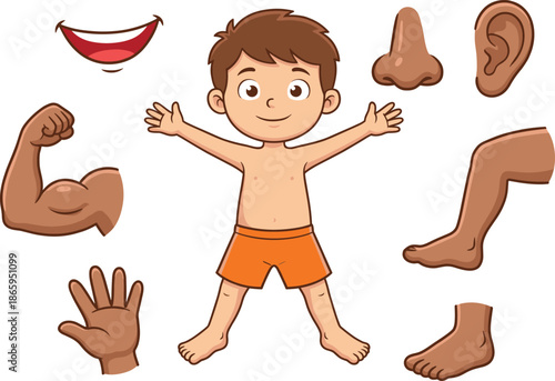 Cute cartoon boy body parts anatomy set smiling child character vector illustration isolated educational design elements for kids learning posters