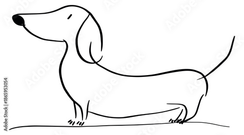 Hand drawn line art illustration of a dachshund dog depicting a simple standing pose for pet-related projects