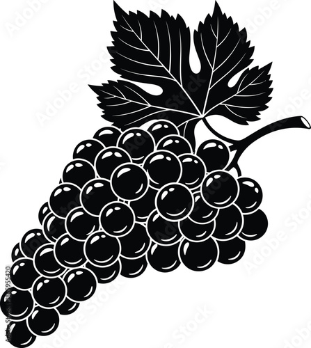 Black and white grape bunch with vine leaves illustration, stylized fruit cluster for vineyard, wine, healthy food, and nature themes.