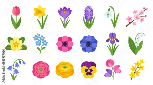 Vibrant Collection of Spring Flowers and Blooms.