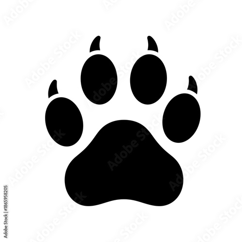 A professional photographer uses a high-end DSLR camera to capture a sharp close-up portrait of a smiling woman during an outdoor lifestyle photo shoot