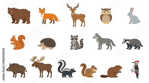 Collection of forest animals in cartoon style.
