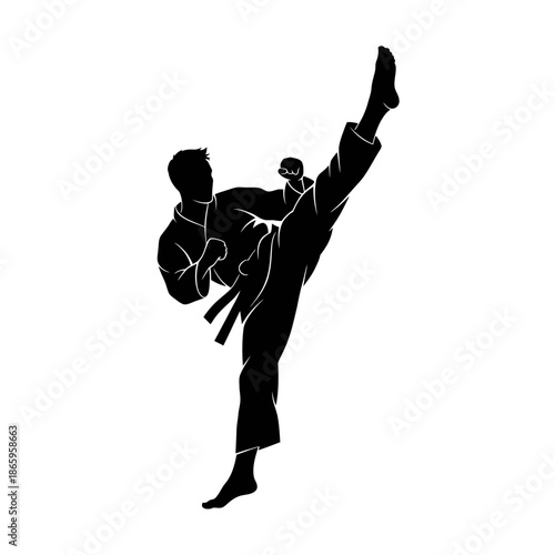 Martial Arts Karate Kick Silhouette For Combat Sport Action And Disciplined Training Graphics