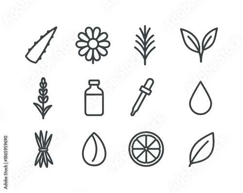 Botanical Icon Set. Botanical extracts. Line icon set of Botanical extracts: aloe leaf, chamomile flower, rosemary sprig, green tea leaf, lavender, bottle,