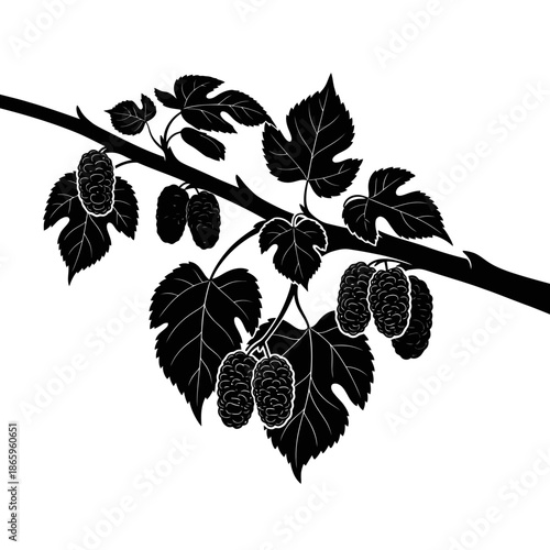 Hops Branch Plant Silhouette Minimalist Botanical Design For Craft Beer And Brewing Art