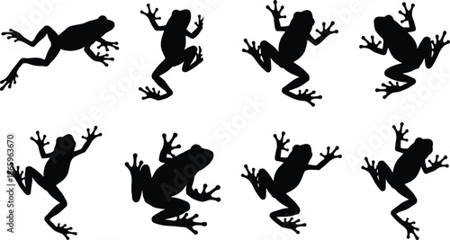 Jumping frog silhouette poses set, black and white amphibian shapes, tree frog wildlife illustration vector collection