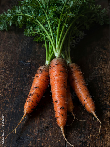 Freshly harvested organic carrots with green tops