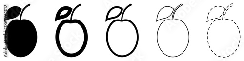 Fruit icon. Round fruit with a leaf on a stem: black silhouette, three outline variations, and one dashed outline. Vector illustration.