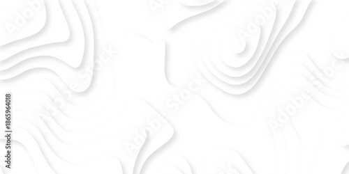 Pattern with lines the stylized height of the topographic map contour in lines and contours isolated on layers. White topography curve lines map isolated on white background.