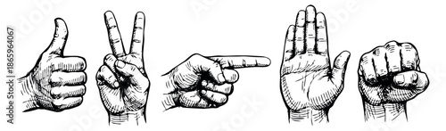 Hand drawn line art hand gesture icons set featuring thumbs up, peace sign, pointing finger, open palm, and a clenched fist for communication and graphic design
