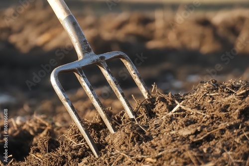 closeup of pitchfork turn over manure pile. Farm natural fertilizer