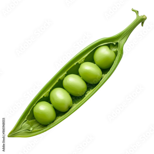 Fresh Green Peas Inside a Pod Ready for Harvesting in a Garden