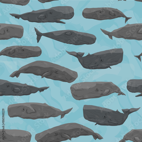 Seamless pattern with sperm whale or cachalot. Realistic vector animal.