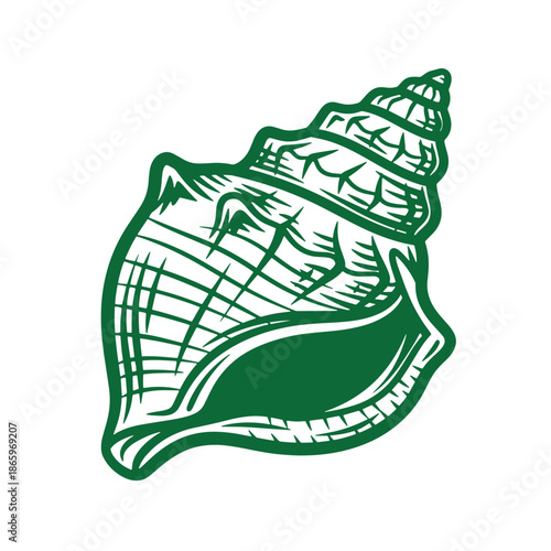 Green conch shell illustration with spiral ridges and textured surface  ocean seashell