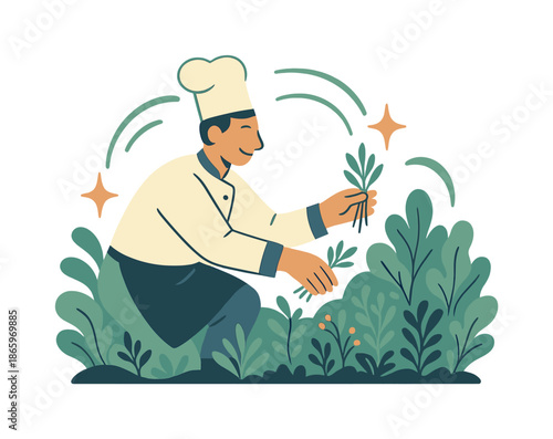 Herb-Picking Chef Illustration. Chef in garden. A chef selects herbs directly from a vibrant garden, spark icons showing flavor-to-plate motion. Curved shapes