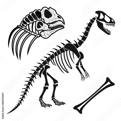 Dinosaur skeleton illustration