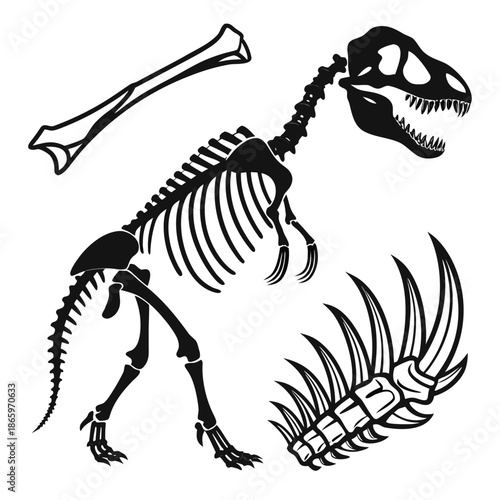 Dinosaur skeleton illustration