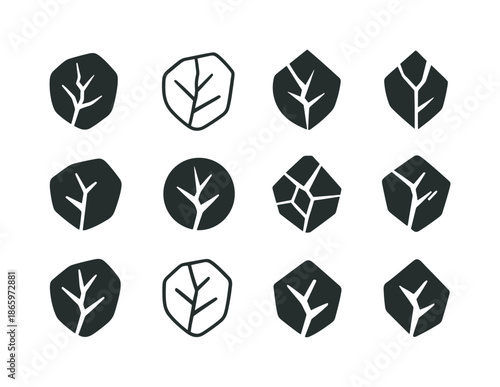 Harmonious Emblem Variations. Reality. Icon set. Set Logo of Reality: broken illusion shard. harmonious logo variations of the same emblematic concept, each