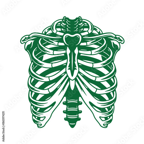 Green ribcage with heart and spine illustration for medical or symbolic use