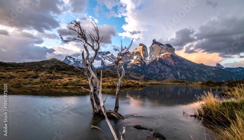 Patagonian Landscape - Lake Reflection of Mountains and Bare Tree.