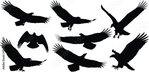 Flying bird silhouettes set featuring eagles and raptors with spread wings isolated on white background black vector illustration